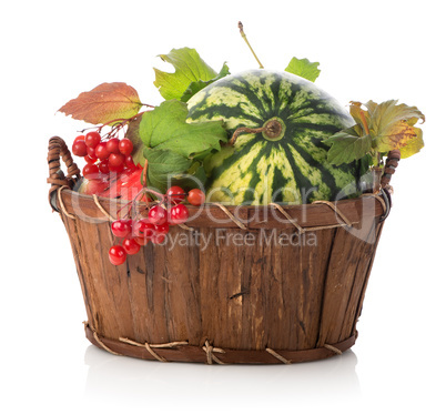 Watermelon and viburnum