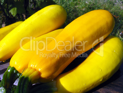 yellow squashes