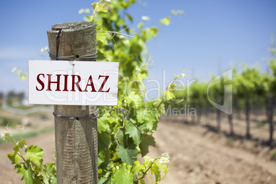 Shiraz Sign On Vineyard Post
