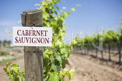 Cabernet Sauvignon Sign On Vineyard Post