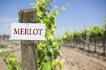 Merlot Sign On Vineyard Post