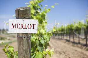 Merlot Sign On Vineyard Post