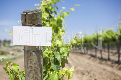 Grape Wine Vineyard with Wooden Post Holding Blank Sign