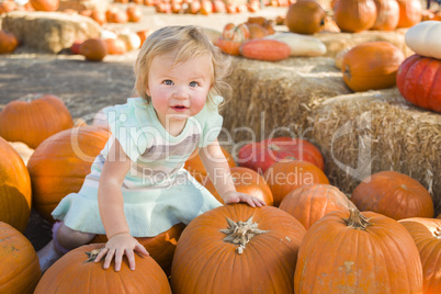 Adorable Baby Girl Holding a Pumpkin at the Pumpkin Patch