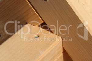 Dach als Holzkonstruktion