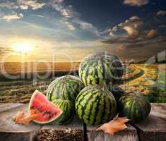 Watermelons on a table