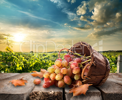 Grapes on table