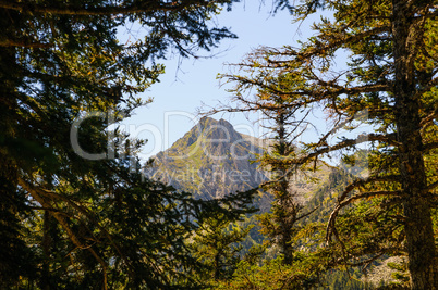 Aiguestortes national park