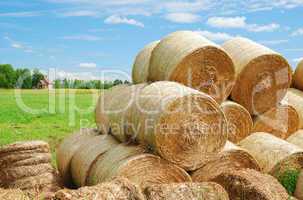 Country landscape with heap of straw bales