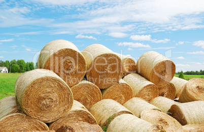 Heap of straw bales in summer field