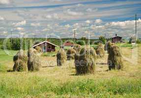 Finnish country landscape with vintage haystacks