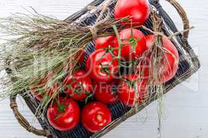tomatoes in the basket