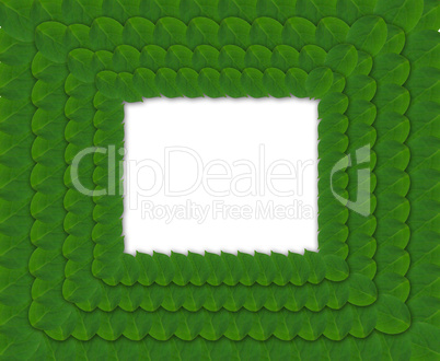 Green square frame from leaves