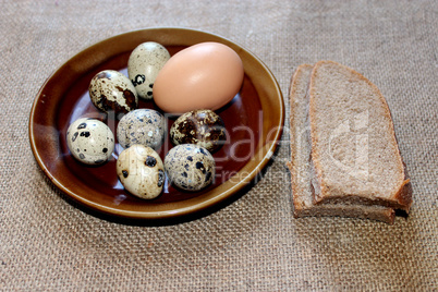 some eggs of the quail and hen with pieces of bread
