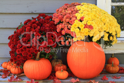 Autumn and Thanksgiving decoration
