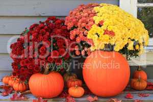 Autumn and Thanksgiving decoration