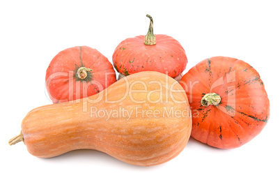 ripe pumpkin isolated on white background