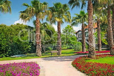 tropical palm trees and flower beds