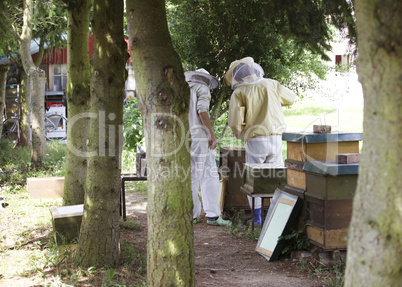 Beekeepers in the Forest