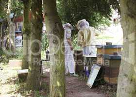 Beekeepers in the Forest