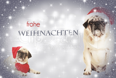 two dogs frohe weihnachten