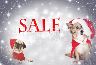 two dogs Christmas sale