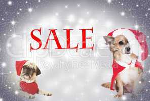 two dogs Christmas sale