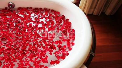 Red rose petals in bathtub, Hotel Amar Villas, Agra, Uttar Pradesh, India