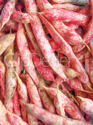 Cranberry beans