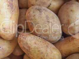 Potato vegetable