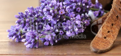 Lavendel und Leder