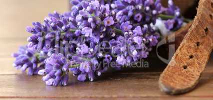 Lavendel und Leder
