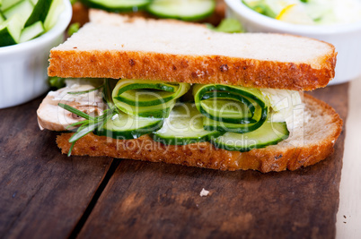 fresh vegetarian sandwich with garlic cheese dip salad