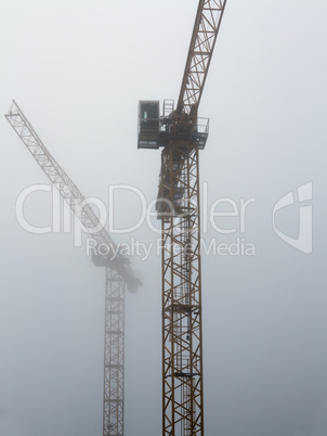 cranes in the fog