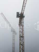 cranes in the fog