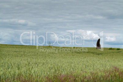 menhir Stone Shepherd