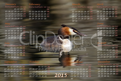 European 2015 year calendar with crested grebe duck