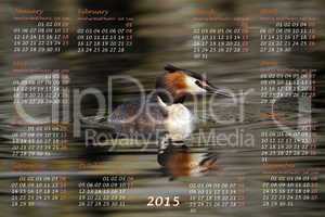 European 2015 year calendar with crested grebe duck