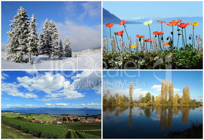 Set of four seasons landscapes