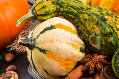 autumn pumpkins