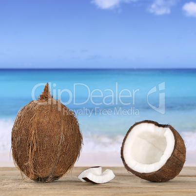Kokosnuss  im Sommer am Meer und Strand