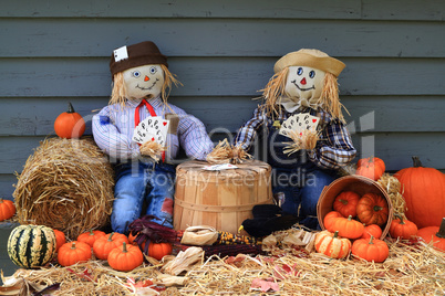 Scarecrows on brake don?t guard harvest and crow eat corn