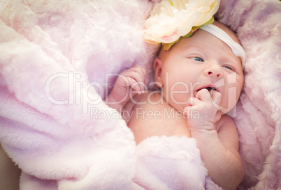 Beautiful Newborn Baby Girl Laying in Soft Blanket