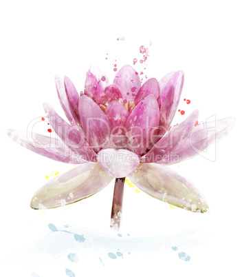 Watercolor Image Of Pink Waterlily Flower