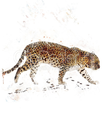 Watercolor Image Of Leopard
