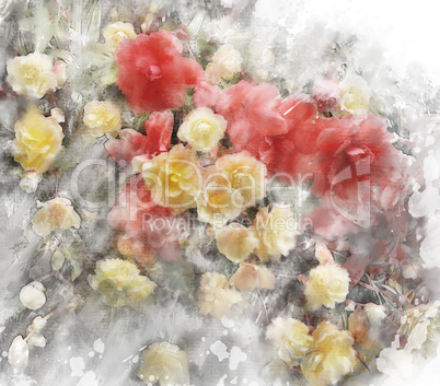 Watercolor Image Of Begonia Flowers