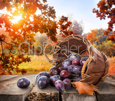 Plums on table