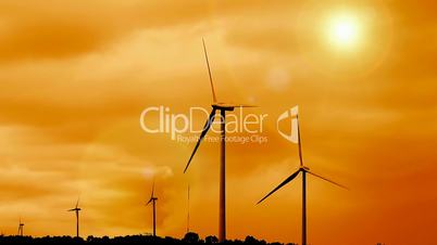 Sunrise and renewable wind farm