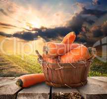 Carrot and landscape