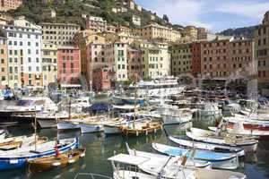 Hafen von Camogli,Ligurien,Italien